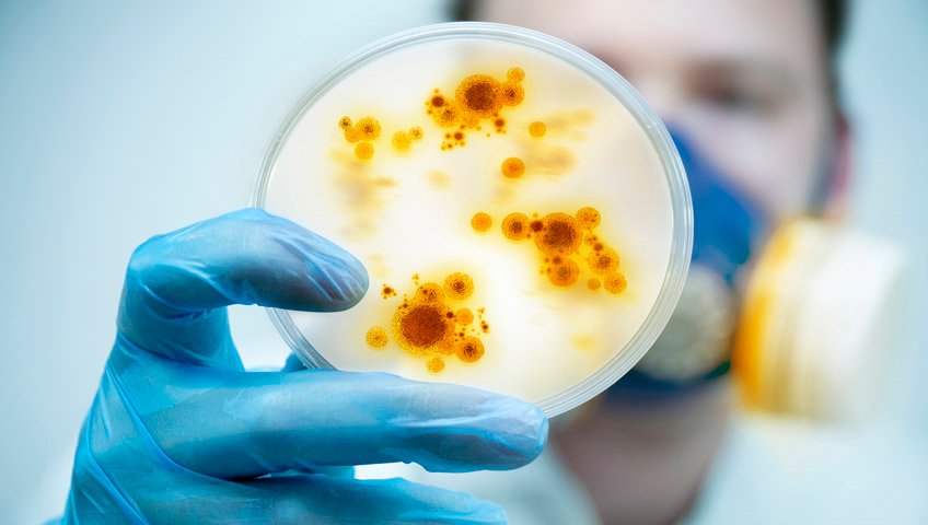 bebedouros não higienizados transmitem doenças