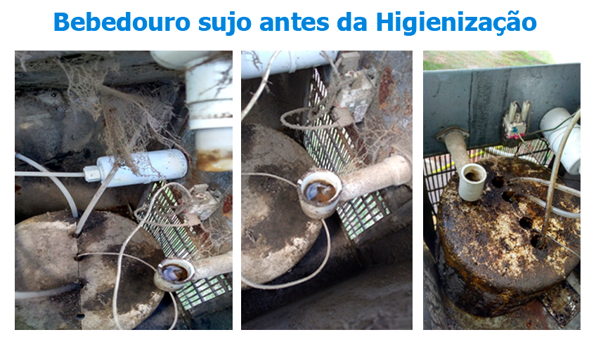 Bebedouro limpo BRA Refrigeração